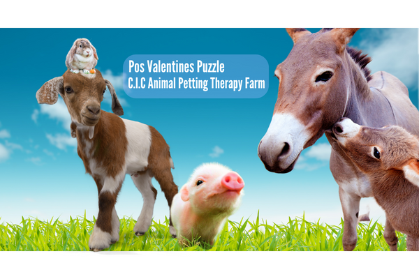 Animal Petting Therapy Farm | Boncath