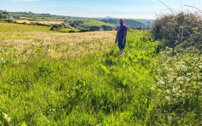 Rural Issues Llanrhian | Community Advice and Support