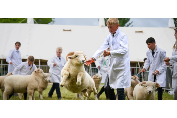 Pembrokeshire County Show | Haverfordwest