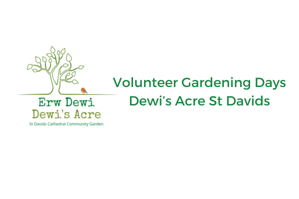 Dewi's Acre / Erw Dewi Community Garden Volunteering Days | OCTOBER