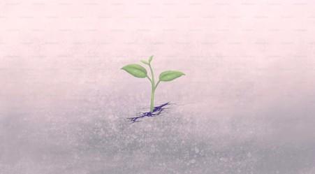 Seed Swap 2026 | Narberth