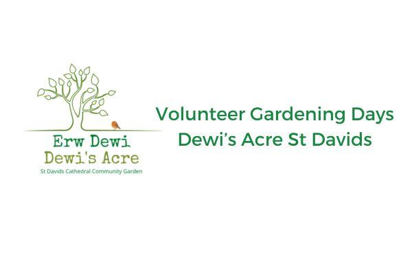 Dewis Acre - St Davids Community Garden | Volunteering Sessions
