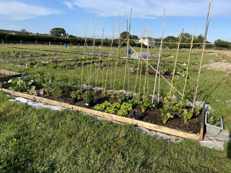 Pen Y Foidr Community Plot Volunteer | Pembrokeshire