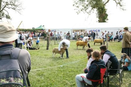Pembroke Town & Country Show | Lamphey