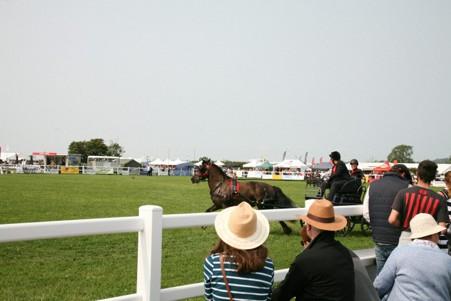 Pembrokeshire County Show 2026 | Haverfordwest