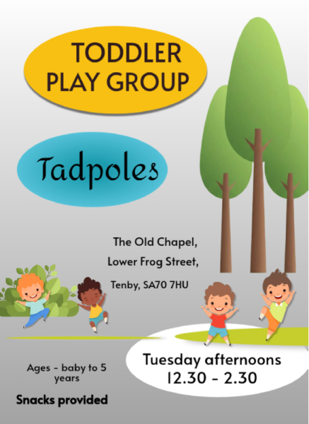 Toddler Play Group